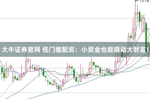 大牛证券官网 低门槛配资：小资金也能撬动大财富！