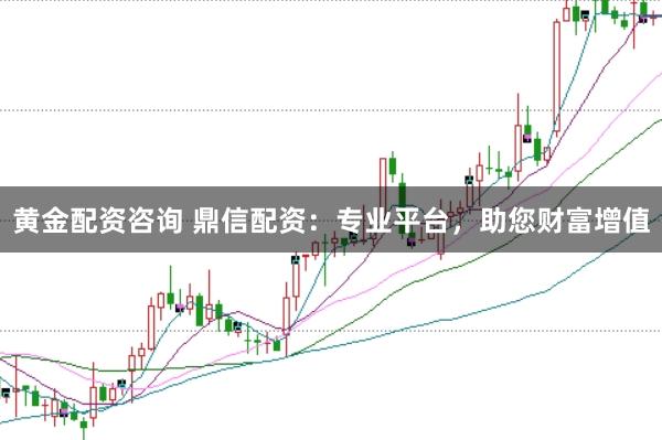 黄金配资咨询 鼎信配资：专业平台，助您财富增值