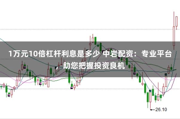 1万元10倍杠杆利息是多少 中岩配资：专业平台，助您把握投资良机