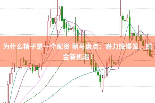 为什么精子是一个配资 黑马盘点：潜力股爆发，掘金新机遇！