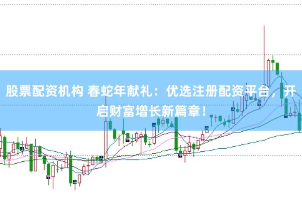 股票配资机构 春蛇年献礼：优选注册配资平台，开启财富增长新篇章！