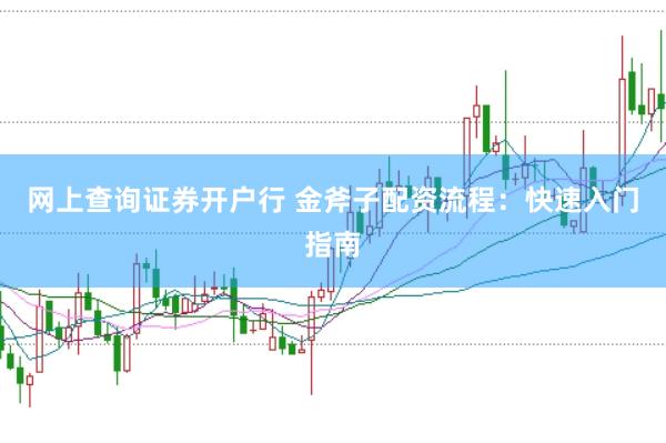 网上查询证券开户行 金斧子配资流程：快速入门指南