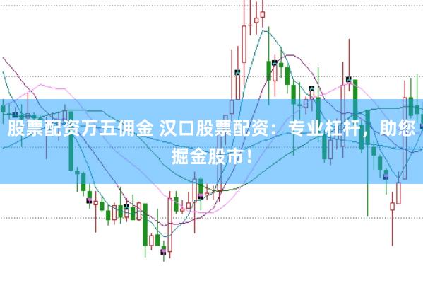 股票配资万五佣金 汉口股票配资：专业杠杆，助您掘金股市！