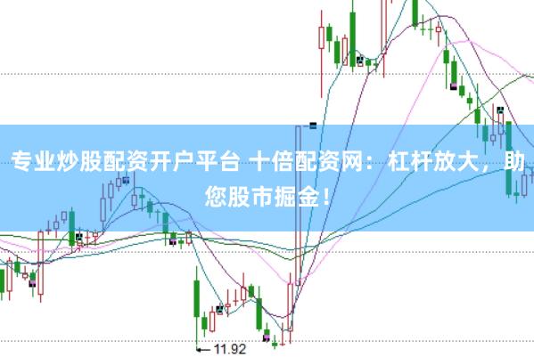 专业炒股配资开户平台 十倍配资网：杠杆放大，助您股市掘金！