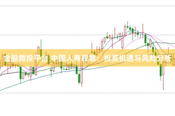 金股微投平台 中国人寿股票：投资机遇与风险分析