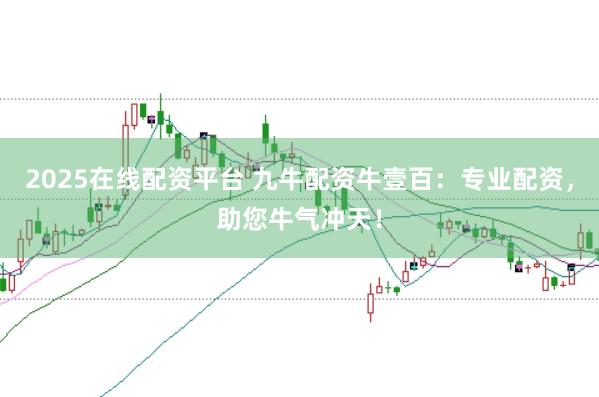 2025在线配资平台 九牛配资牛壹百：专业配资，助您牛气冲天！