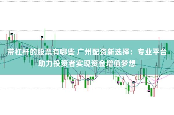带杠杆的股票有哪些 广州配资新选择：专业平台助力投资者实现资金增值梦想