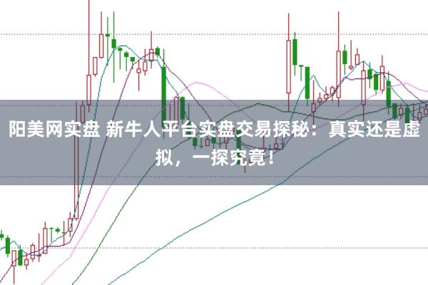阳美网实盘 新牛人平台实盘交易探秘：真实还是虚拟，一探究竟！
