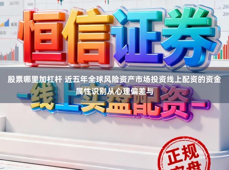 股票哪里加杠杆 近五年全球风险资产市场投资线上配资的资金属性识别从心理偏差与