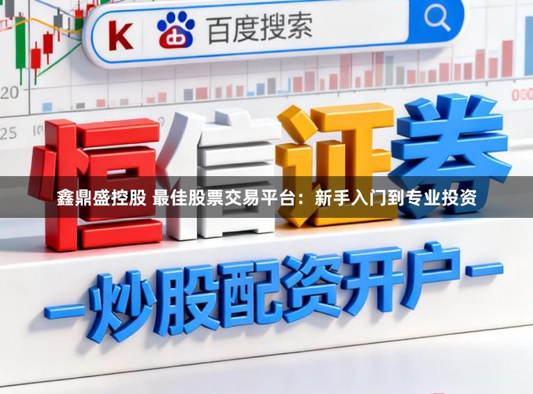 鑫鼎盛控股　 最佳股票交易平台：新手入门到专业投资